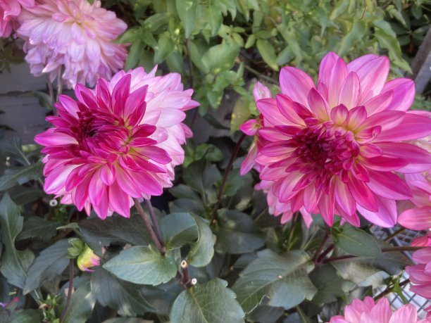 自然之美图片下载