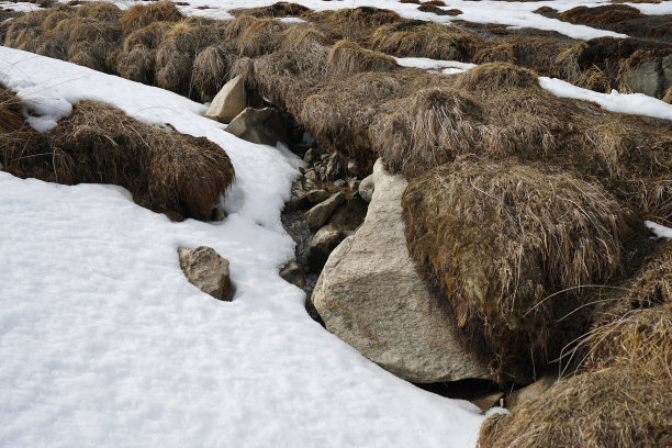 天然的雪流过岩石和石头图片下载