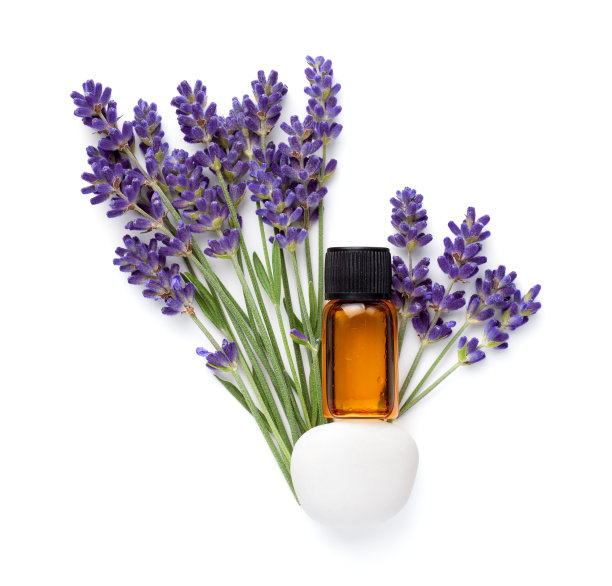 一瓶白色薰衣草精油图片下载