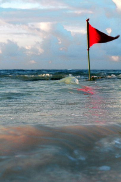 海浪在阿库马尔的岩石海滩上图片下载
