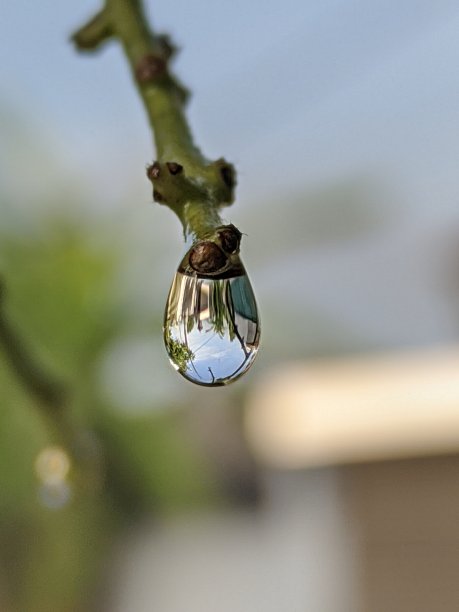 世界在雨滴中图片下载