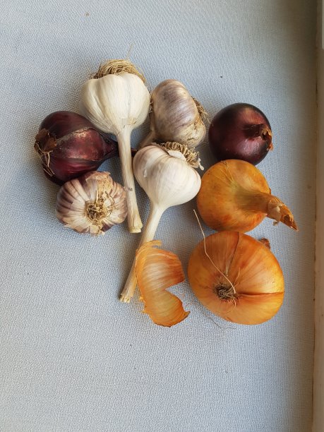 健康的食物图片下载