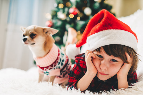 圣诞快乐。开心的小朋友和小狗狗穿着毛衣，在沙发上抱着毯子玩寒假。戴着圣诞帽的小男孩。圣诞树与灯散景。新年快乐图片下载