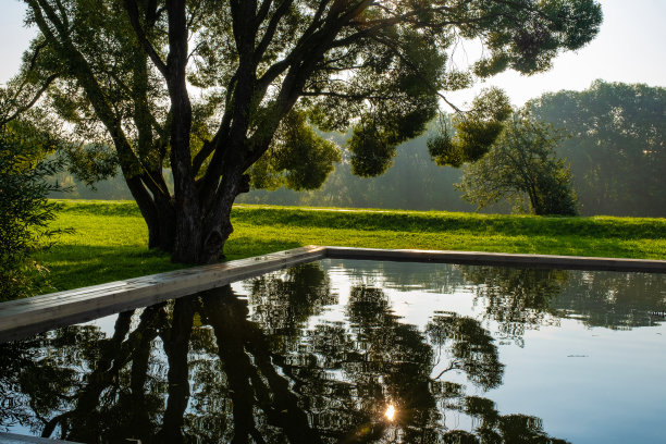 清晨，小水池里的阳光和树木的倒影。图片下载