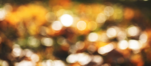 模糊散焦的秋天自然背景与橙色，黄色，金色的阳光自然散景，旗帜图片下载