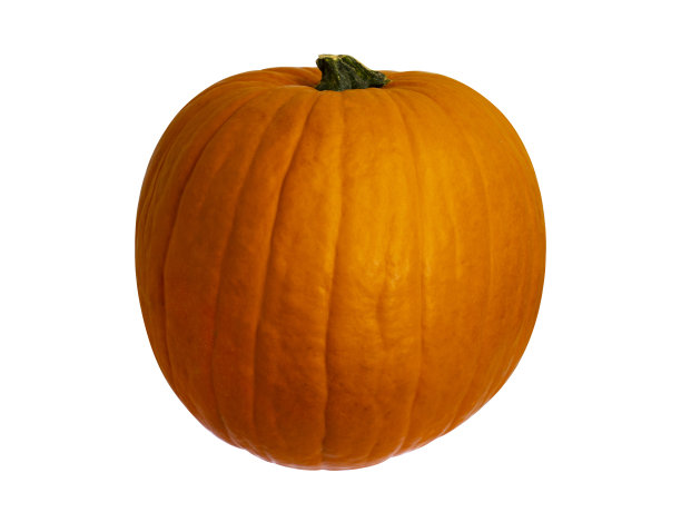 南瓜孤立在白色背景上。为万圣节南瓜。图片下载