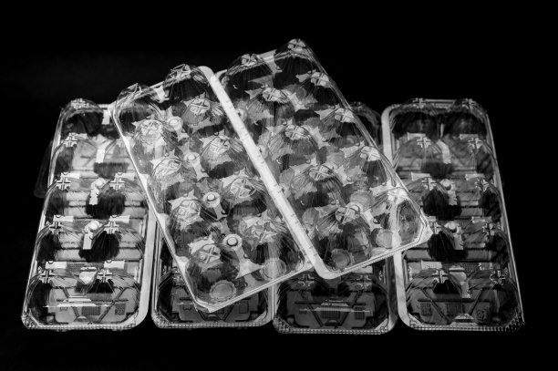 日本使用的可回收塑料包装鸡蛋。孤立在黑色背景上。俯视图图片下载