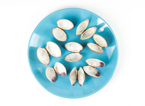 空的蛤蜊壳在蓝色盘子上的白色背景图片下载