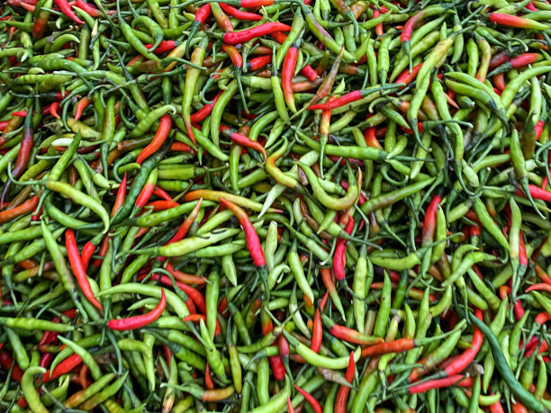 一堆红的和绿的辣椒在当地的新鲜农产品市场上出售，高架视野图片下载