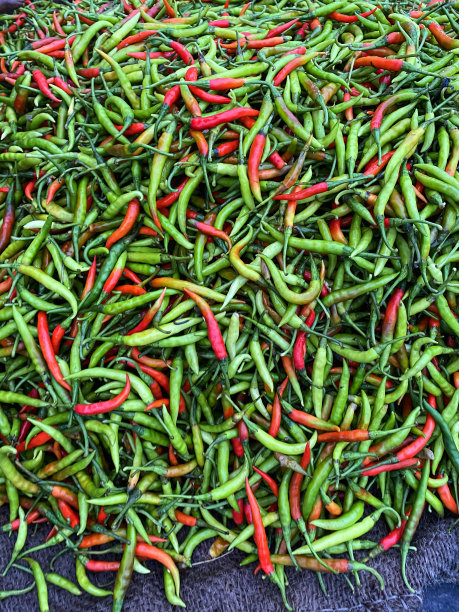 一堆红的和绿的辣椒摊在毯子上，在当地的新鲜农产品市场上出售图片下载