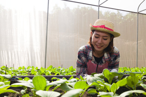 女农民享受着有机菜地的呵护。图片下载