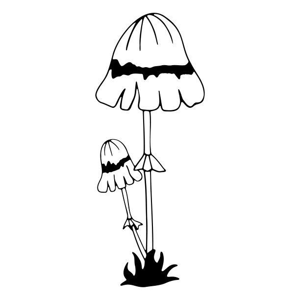 蘑菇蘑菇蘑菇涂鸦矢量插图图标图片下载