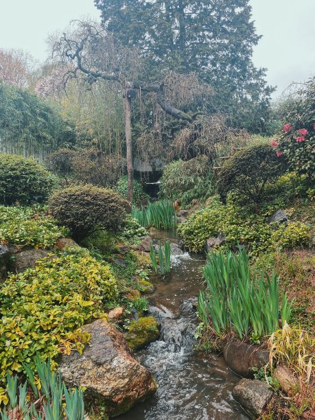 日本园林景观图片下载