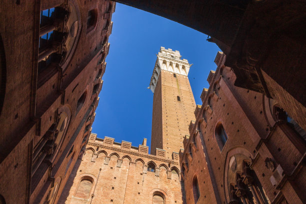 从锡耶纳的小教堂俯看的Mangia塔(Mangia塔)图片下载