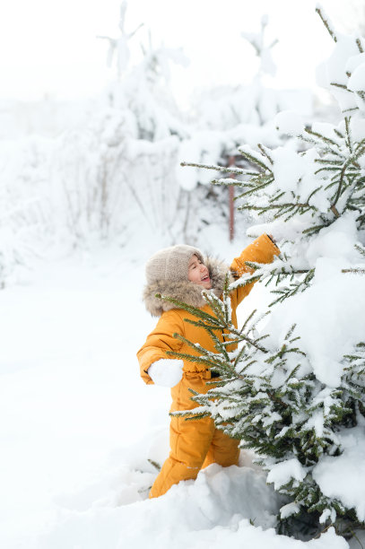云杉树枝上的雪落在一个孩子的脸上图片下载