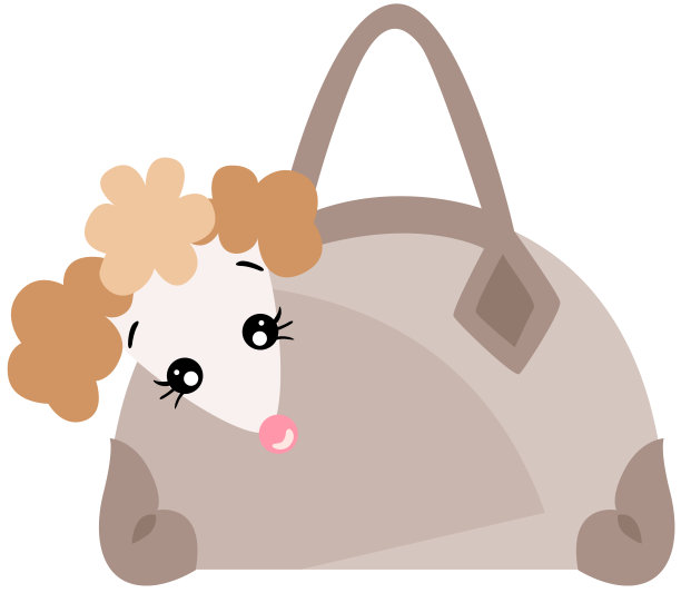 钱包里的小狗图片下载