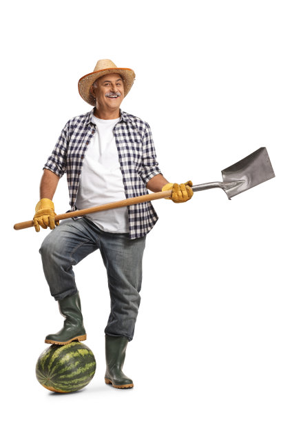 戴着草帽的农民拿着铲子踩在西瓜上图片下载