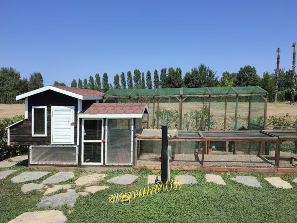 鸡舍和矮脚鸡图片下载