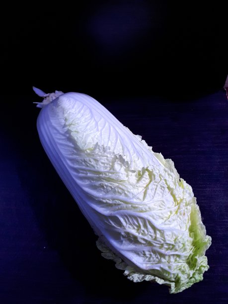 生菜蔬菜放在木桌上图片下载