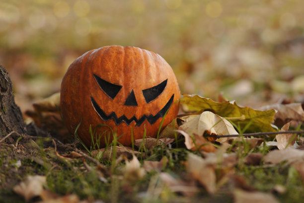 杰克灯笼图片下载