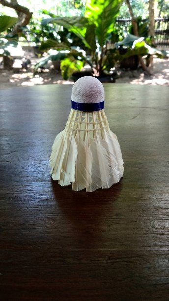 苏特尔乔克图片下载