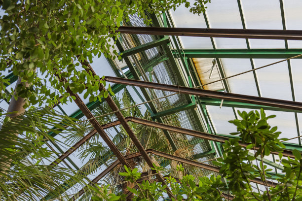 热带温室的玻璃和金属屋顶图片下载