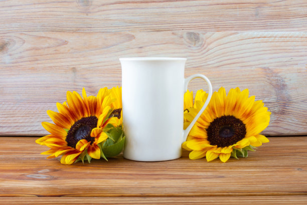 木桌上的向日葵白色高杯样机图片下载
