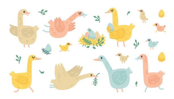 向量涂鸦鹅。农场鸟类插图图片下载