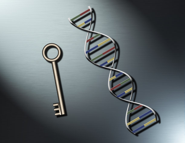 DNA链和键图片下载