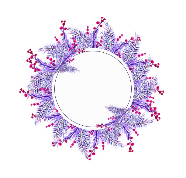 花的模板。圣诞蓝树枝与红色浆果，背景邀请和贺卡。水彩手绘插图，孤立，白色背景图片下载