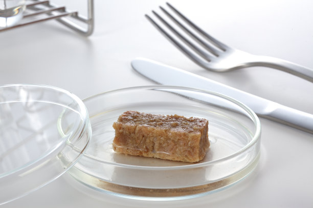 实验室培养肉，特写图片下载