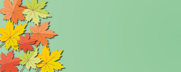 色彩斑斓的枫叶在柔和的绿色背景下。秋天旗帜的概念。图片下载