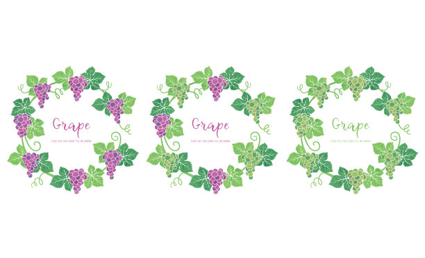 背景框架材料葡萄插图图片下载