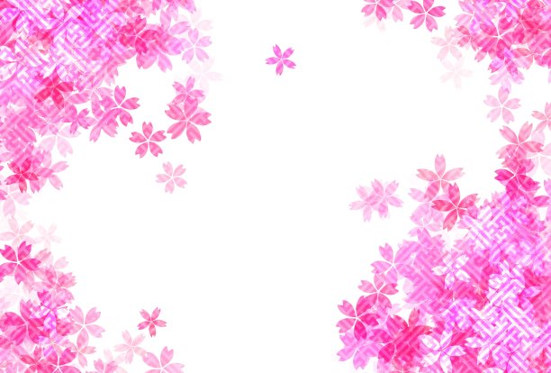 樱花的明信片。图片下载