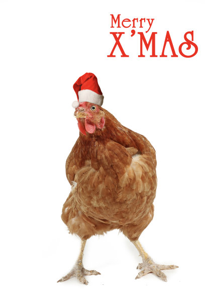 有趣的圣诞贺卡图片下载