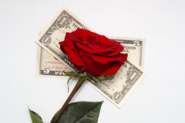 鲜花与金钱图片下载