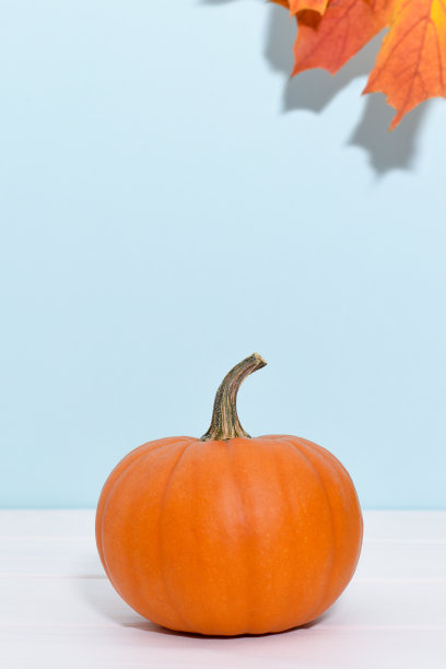 成熟的橙色南瓜在蓝色的背景和复制空间。图片下载