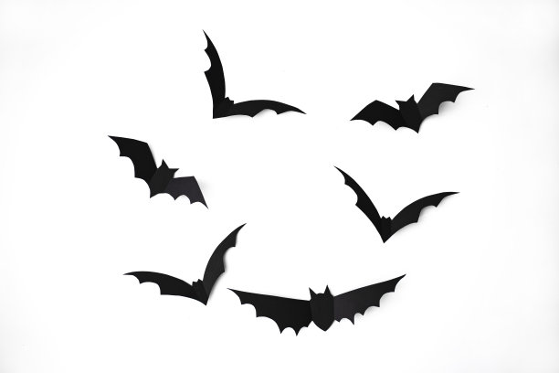 白色背景上的万圣节纸蝙蝠。图片下载