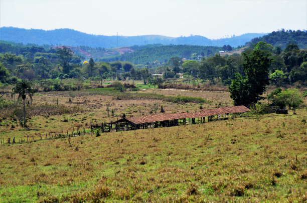 乡村农场的屋顶图片下载
