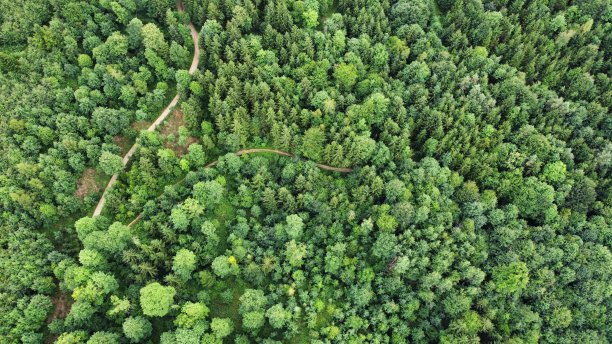 奥地利福勒斯特图片下载