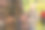 在水果仓库的分拣线工作的男人的肖像，用选定的桃子堆叠箱子图片下载