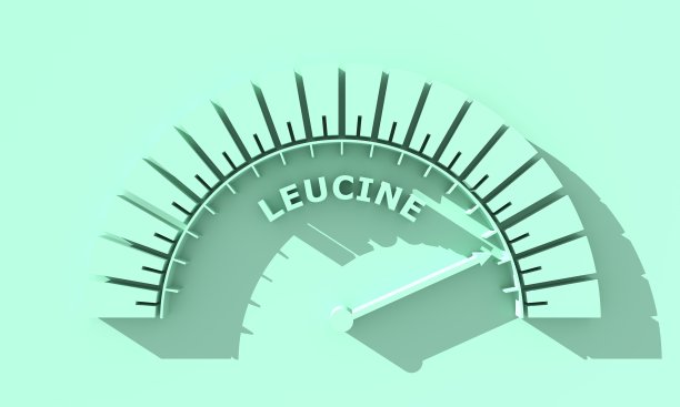 亮氨酸规模水平。医学和药学的概念图片下载