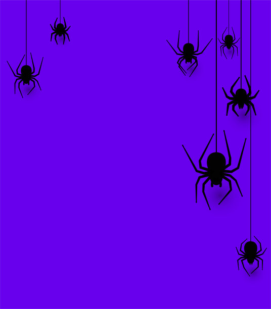 悬挂蜘蛛万圣节紫色背景。图片下载