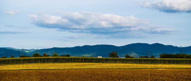 玉米地、小山、云天的全景景观图片下载