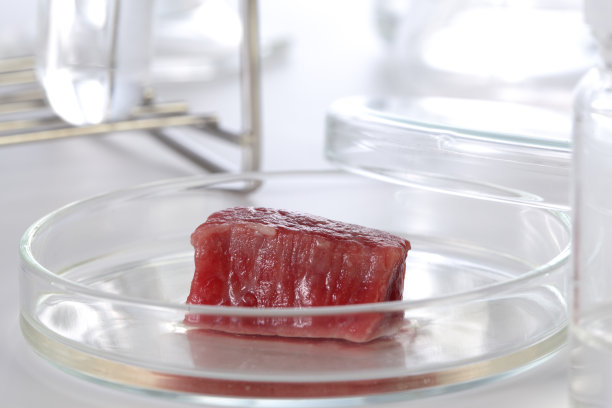 实验室培育的肉，图片下载