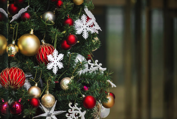 城市里的圣诞装饰图片下载