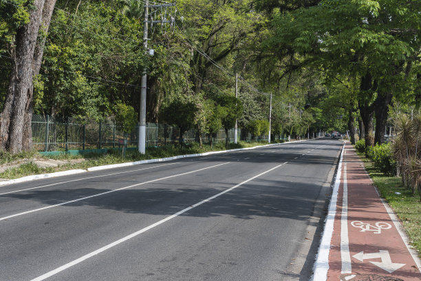 República do Líbano大街和自行车道在São保罗市经过Ibirapuera公园。图片下载