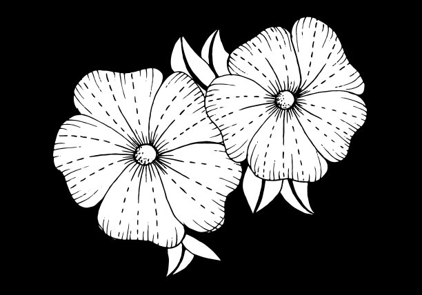 植物绘画。矢量手绘设计元素。图片下载