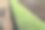 白菜种植。图片下载