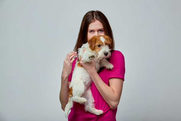 美丽的女孩拥抱一只狗杰克罗素梗手在灰色的背景，复制空间，绿色和平的概念图片下载